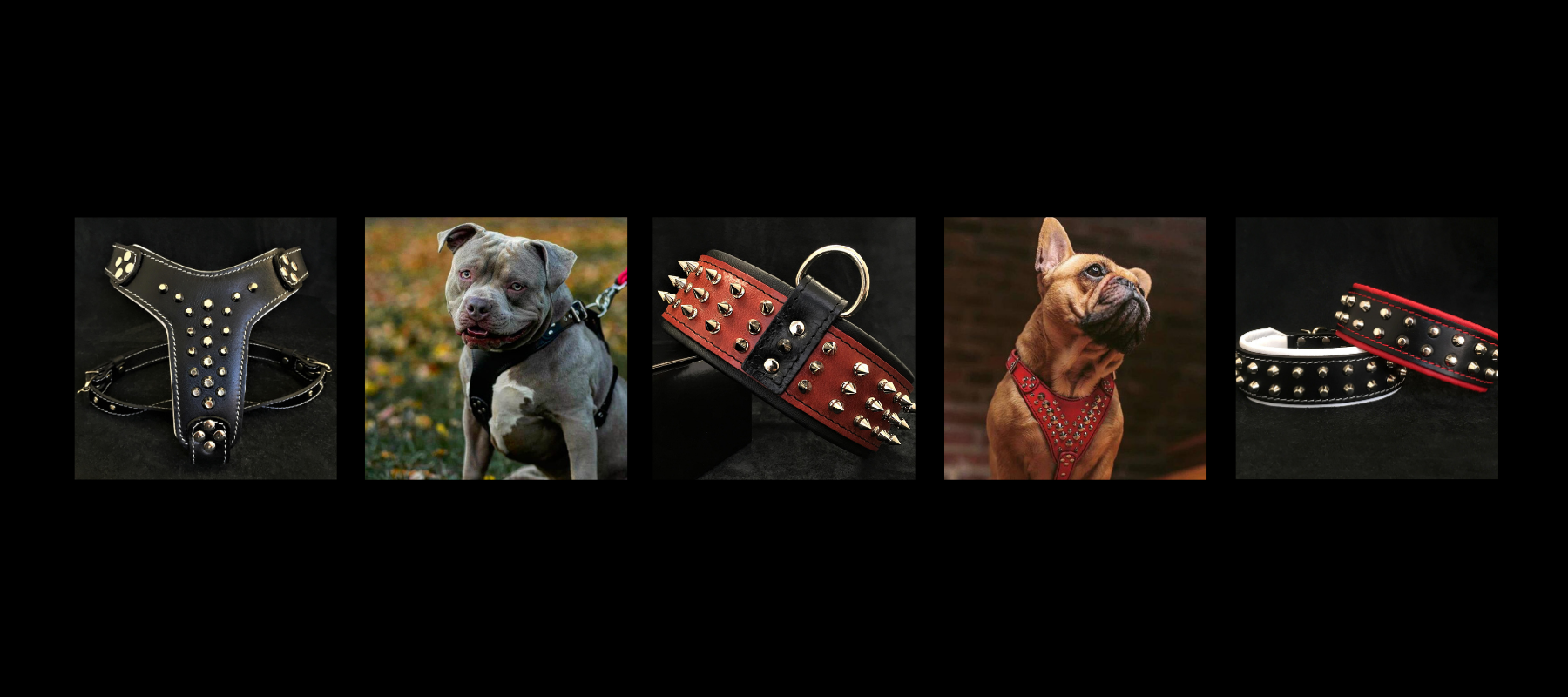 OUTLET – Bestia Dog Gear
