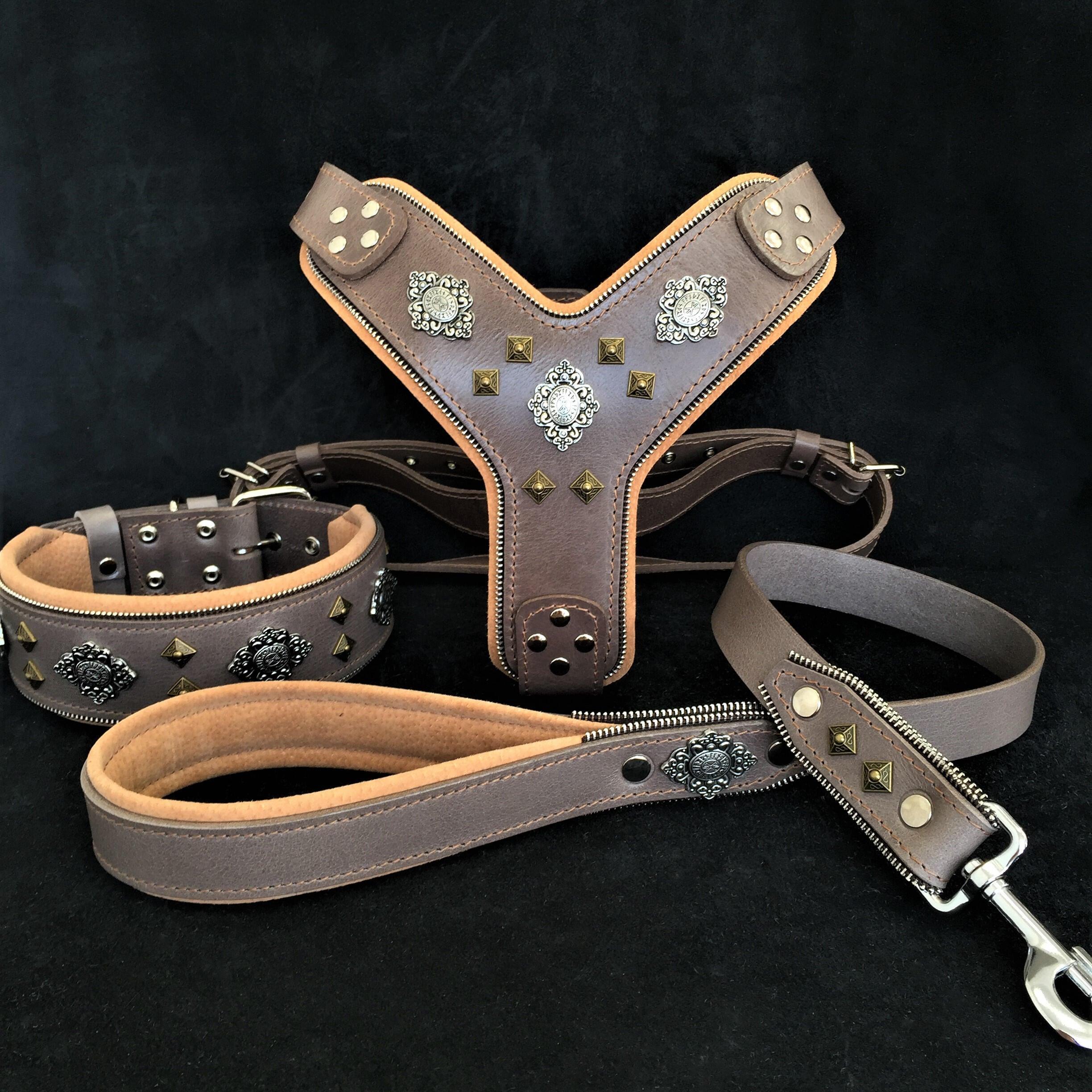 AZTEC BIG dog SET Harness collar lead. Grey Bestia Dog Gear