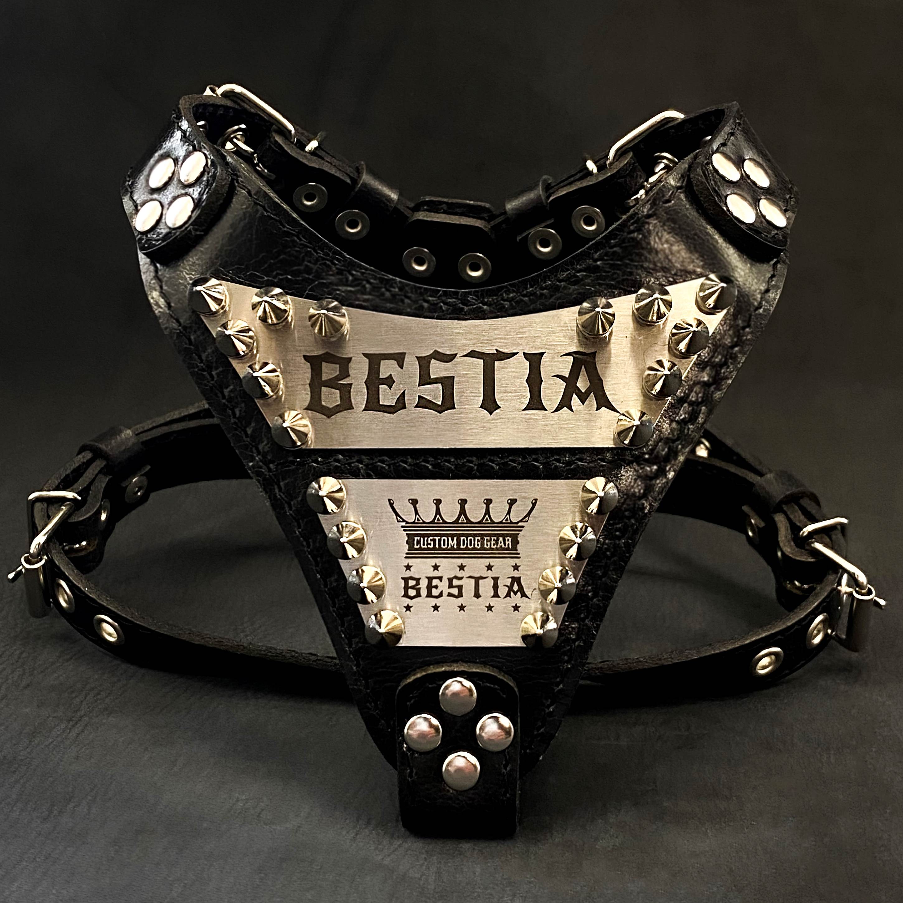 The Metal Harness small to medium size