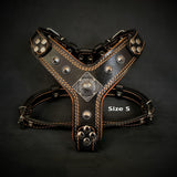 The ''Eros'' harness Black & Orange Small to Medium Size
