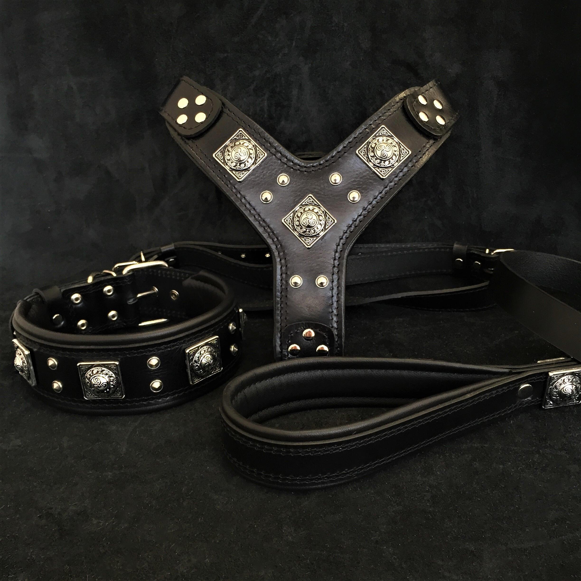 Dog collar lead and harness fashion set