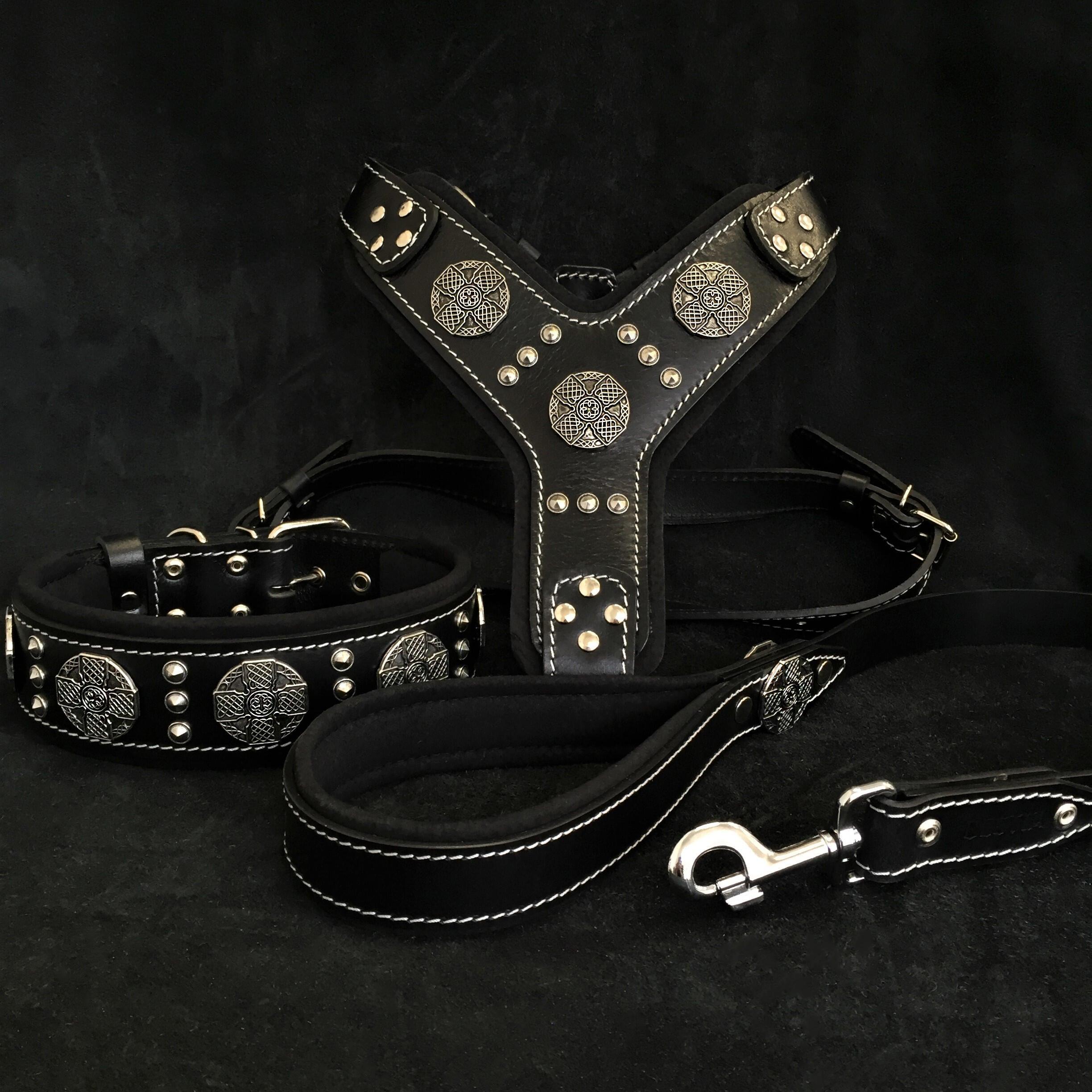 The Maxmius Silver Set collar harness and leash Bestia Dog Gear