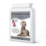  Bestia K9 Nutrition Probiotikum für Hunde