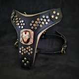 Irondog Harness