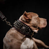 the "DAVID" hand stitched 3.15 inch wide show collar