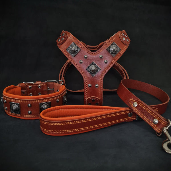 "EROS" BIG dog SET- Harness - collar - lead. Brown & Orange