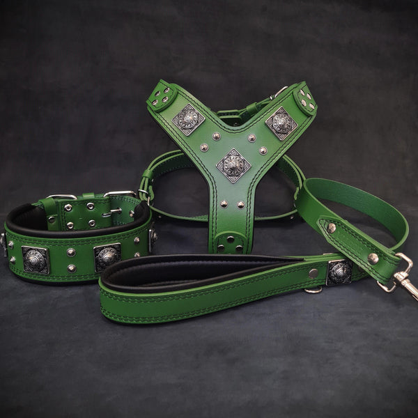"EROS" BIG dog SET- Harness - collar - lead. Green
