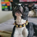The "Bijou" handmade puppy collar