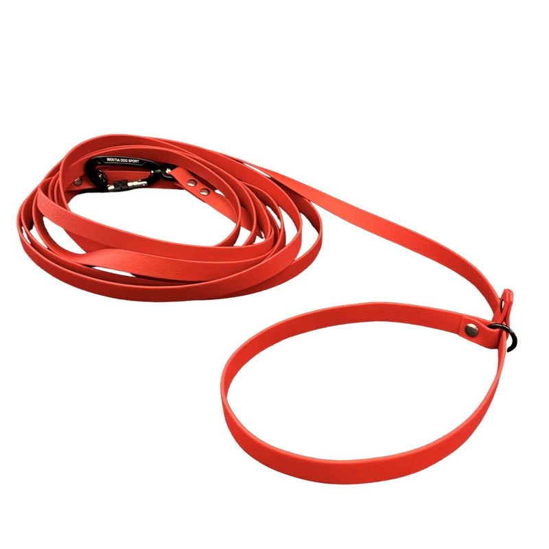 Long red leash for dog training. 