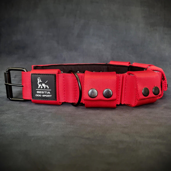 PRE-ORDER Weighted dog training collar- Red. Large breeds. 5 lbs total. removable weights