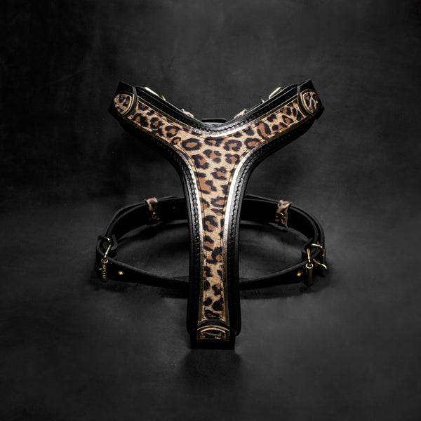The Leopard Harness