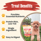 Chicken Chips for Dogs | All-Natural Single-Ingredient Dog Treats