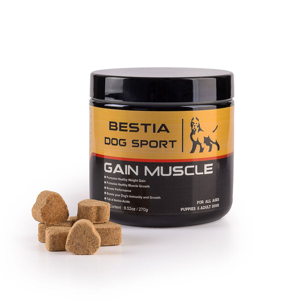 BDS Muscle Gain Dog Food Supplement