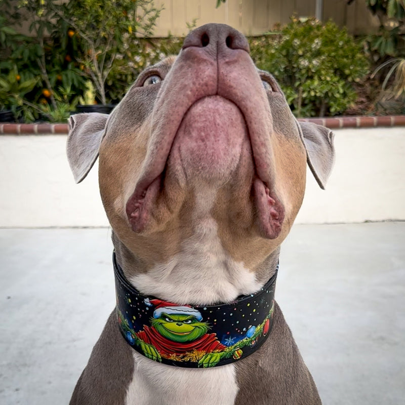 The Grinch Limited Collar