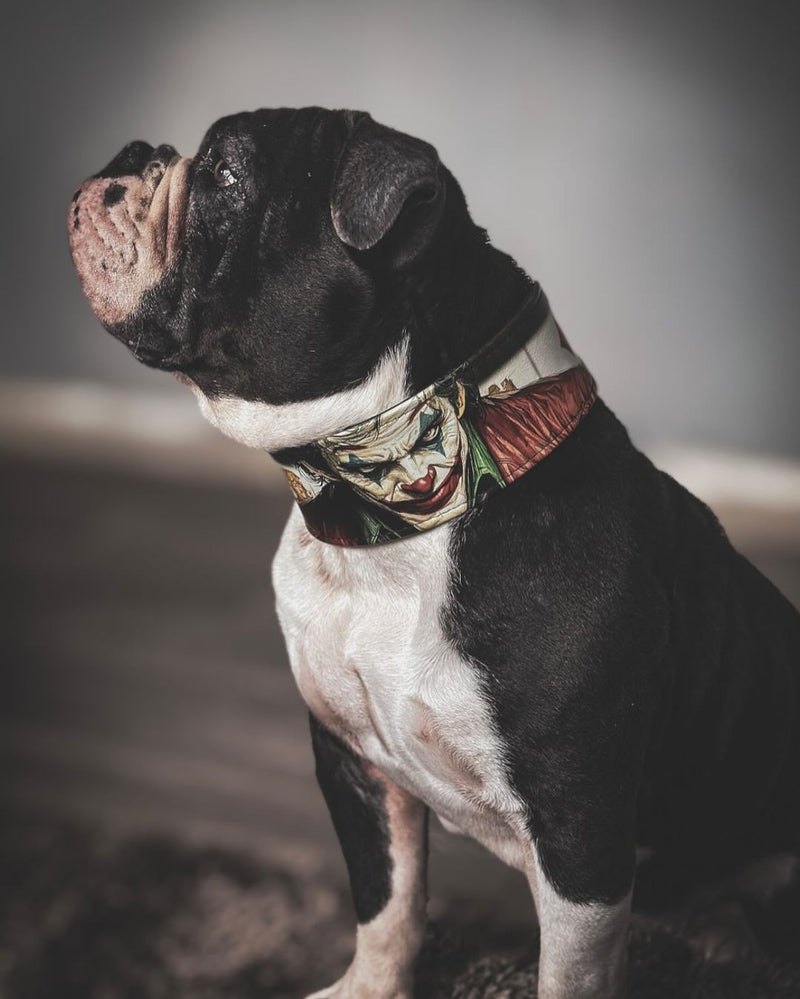 The Joker Limited Collar