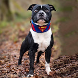 Superdog Collar