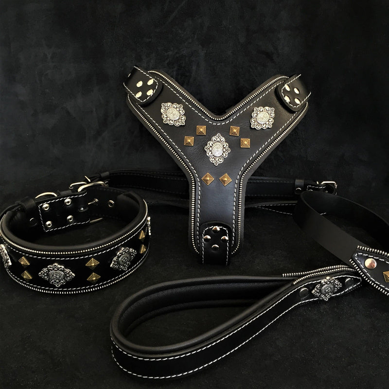 "AZTEC" BIG dog SET - Harness - collar - lead. Black