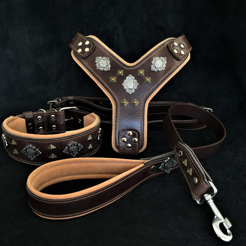 "AZTEC" BIG dog SET - Harness - collar - lead. Brown