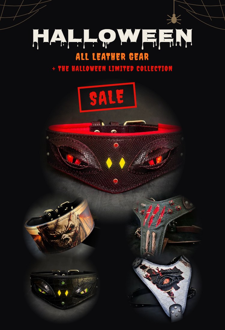 Halloween Sale at Bestia