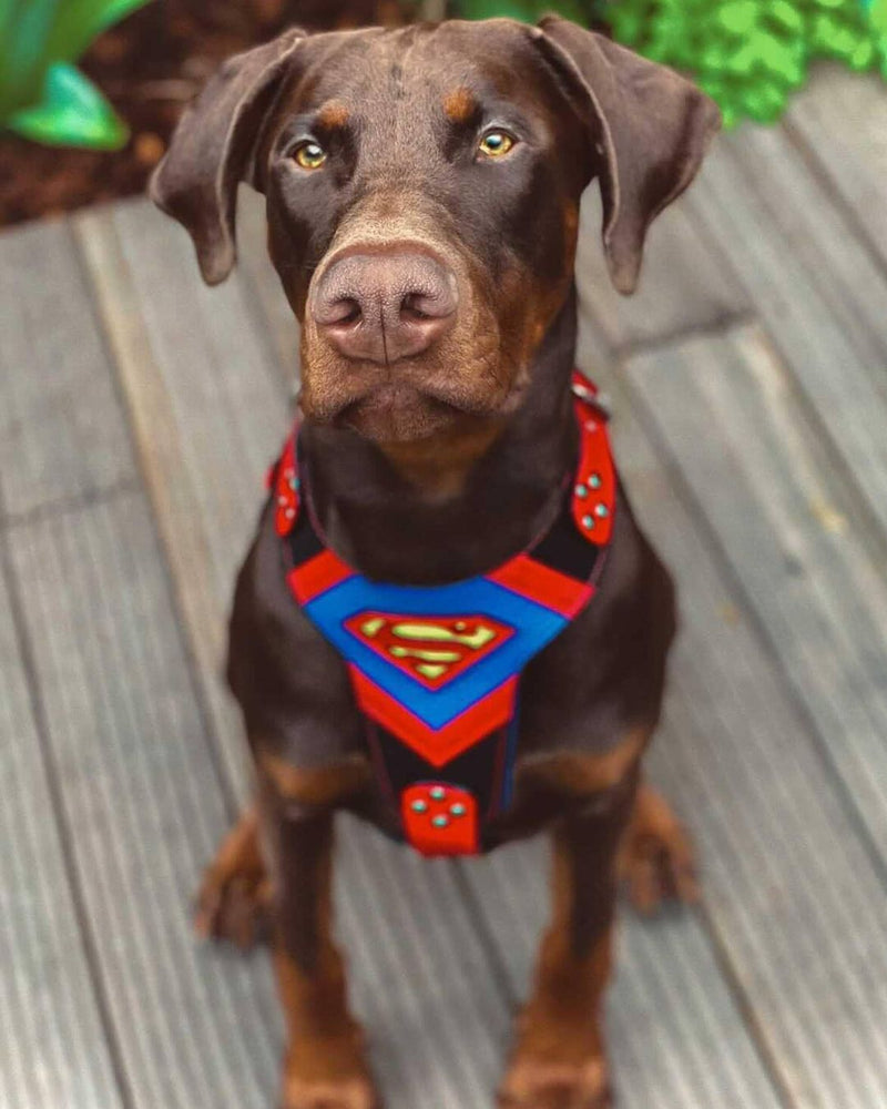 Superdog Harness Medium Size