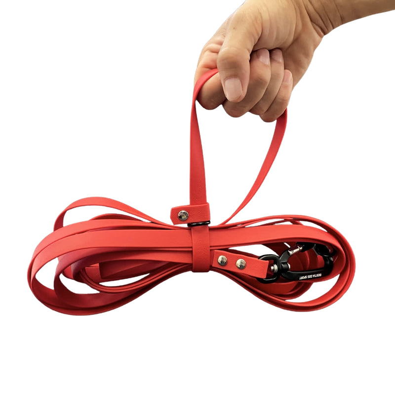 Long red leash for dog training. 