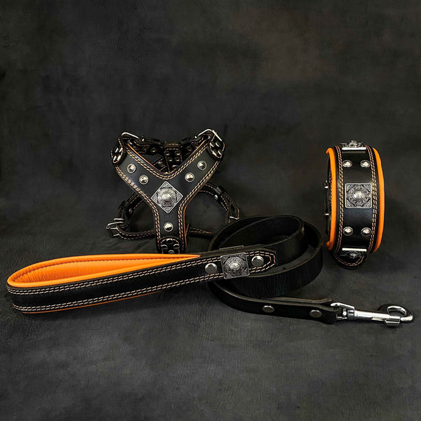 "EROS" Small to Medium dog SET - Harness - collar - lead Black&Orange