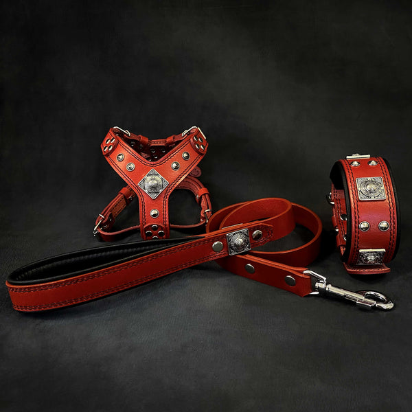 "EROS" Small to Medium dog SET - Harness - collar - lead. Red