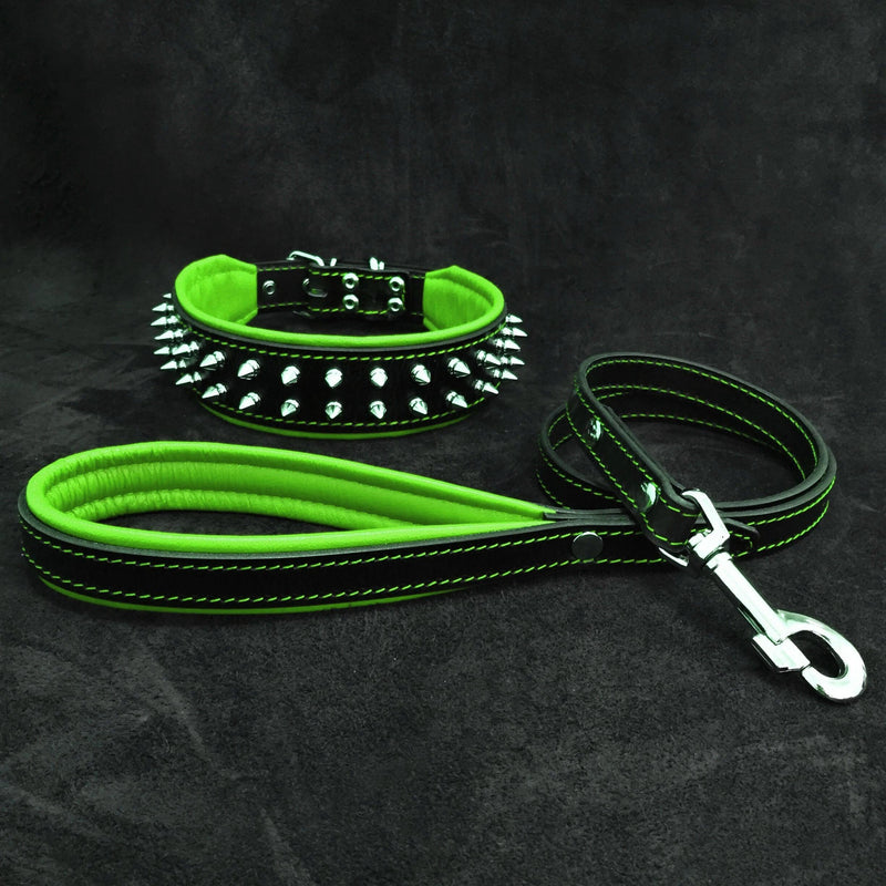"Frenchie" Set- collar & leash. Green