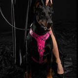 The ''Rock Python'' harness PINK
