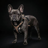 The Leopard Harness Small to Medium Size