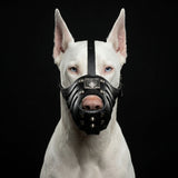 ''Eros'' Basket Muzzle All Black