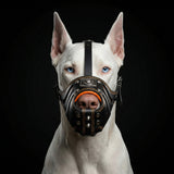 ''Eros'' Basket Muzzle black & orange