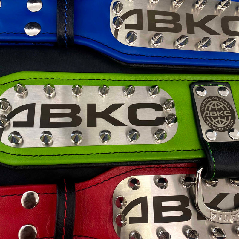 The ABKC Collar – Bestia Dog Gear