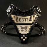 The "Metal" harness small to medium size - Personalized