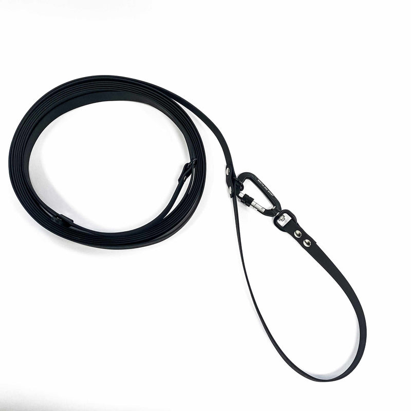 Long black leash for dog training 