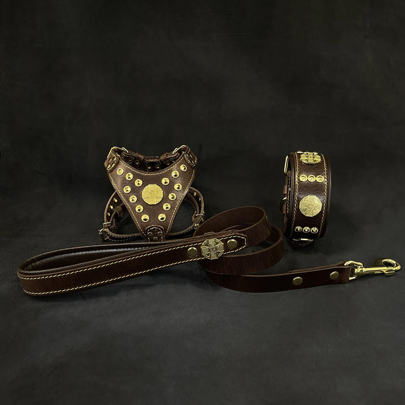   Das "Maximus" Set - Halsband, Geschirr und Leine SCHWARZ