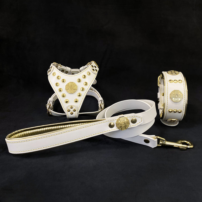   Das "Maximus" Set - Halsband, Geschirr und Leine SCHWARZ