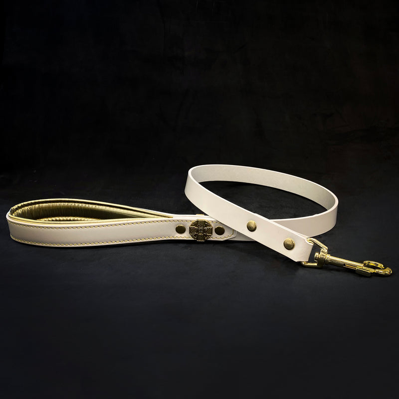 Maximus Gold Leash 1 inch wide