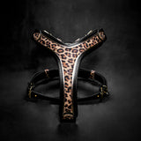 The Leopard Harness