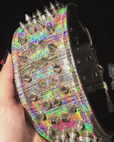 ''Chameleon'' LIMITED big dog collar