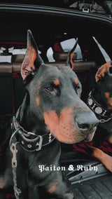 The "Maximus" collar 2.5 inch wide black & silver