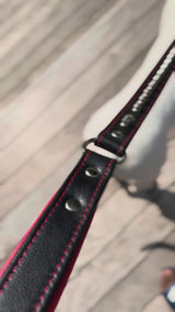 The "Kennel" collar- personalized!