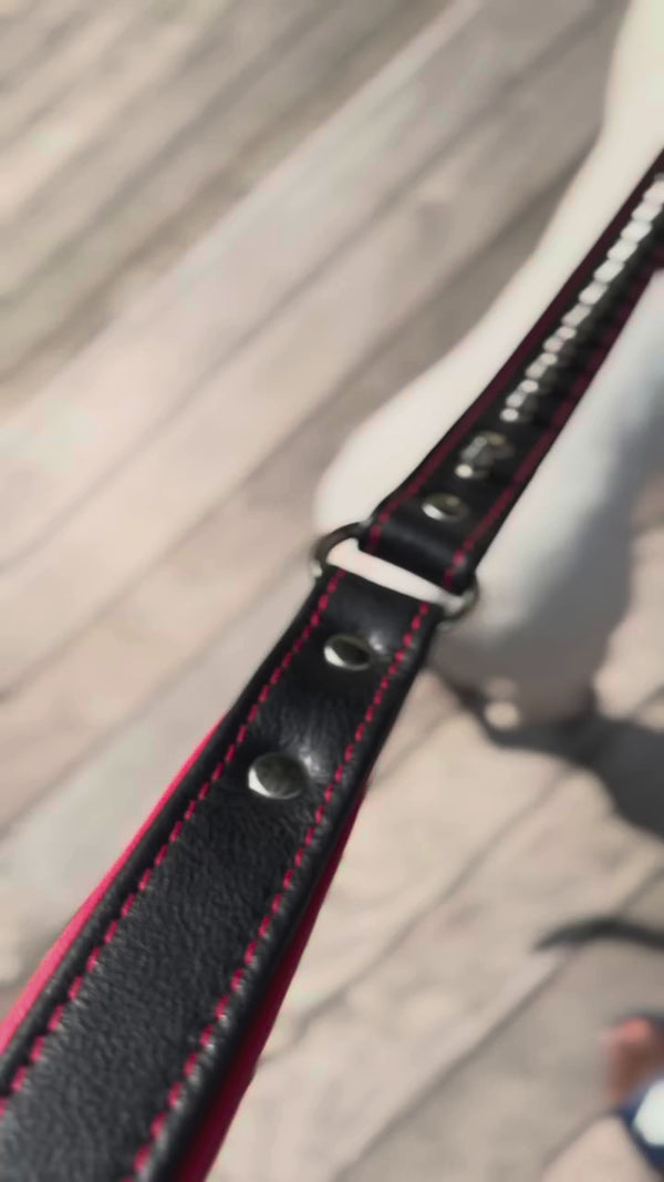 The "Kennel" collar- personalized!