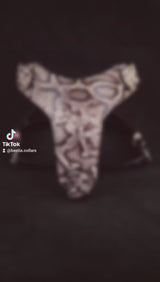 The ''Rock Python'' harness