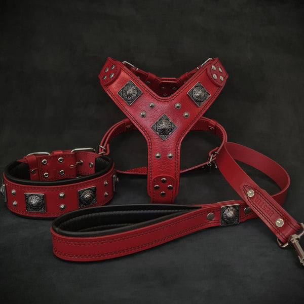 "EROS" BIG dog SET- Harness - collar - lead. Red