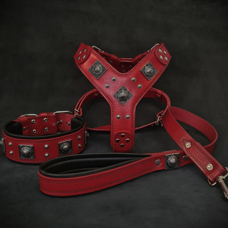 "EROS" BIG dog SET- Harness - collar - lead. Red