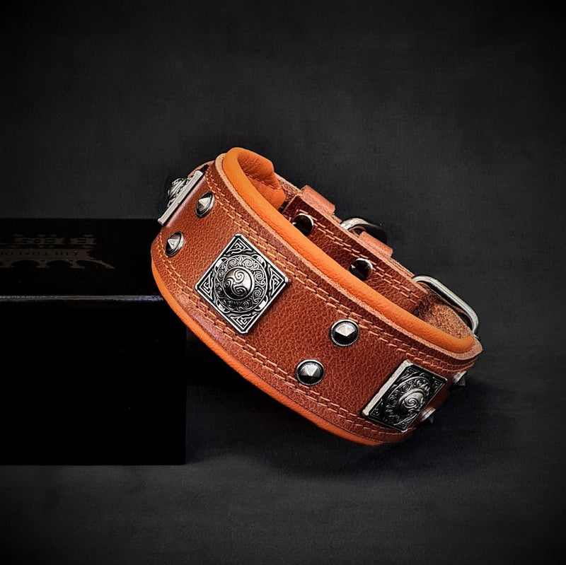 The "Eros" collar 2 inch wide brown & orange Collars