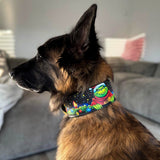 The Grinch Limited Collar