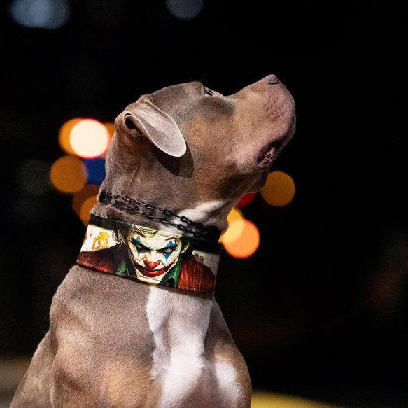 The Joker Limited Collar