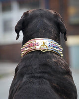The ''Candy'' Dog Collar